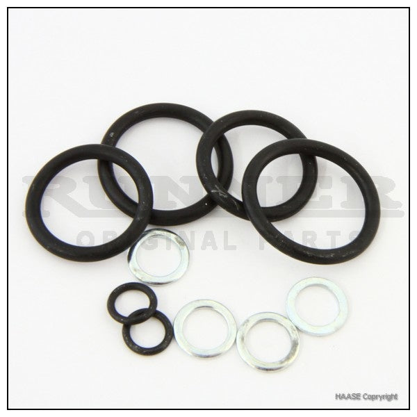 Haase Runner FR14 brake caliper overhaul kit