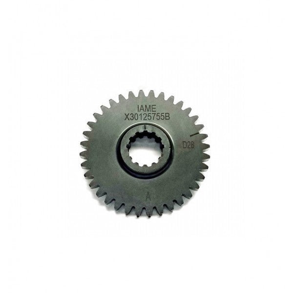 Iame X30 Ausgleichsgetriebe