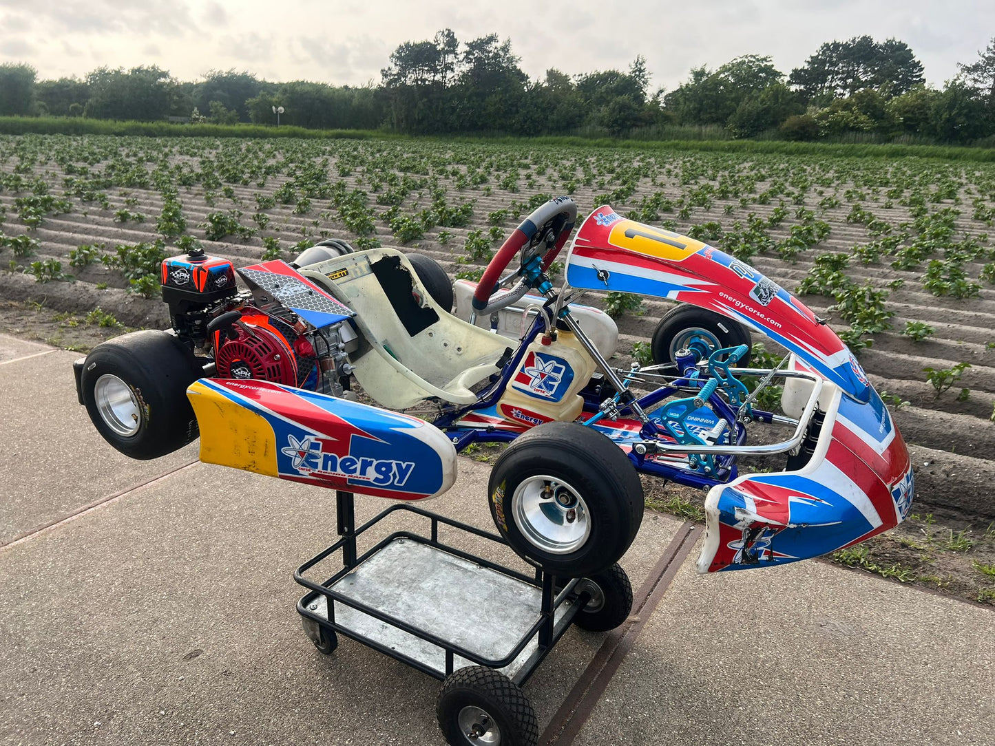 Gebrauchte Energy Corse Storm Mini Cadet GX160cc