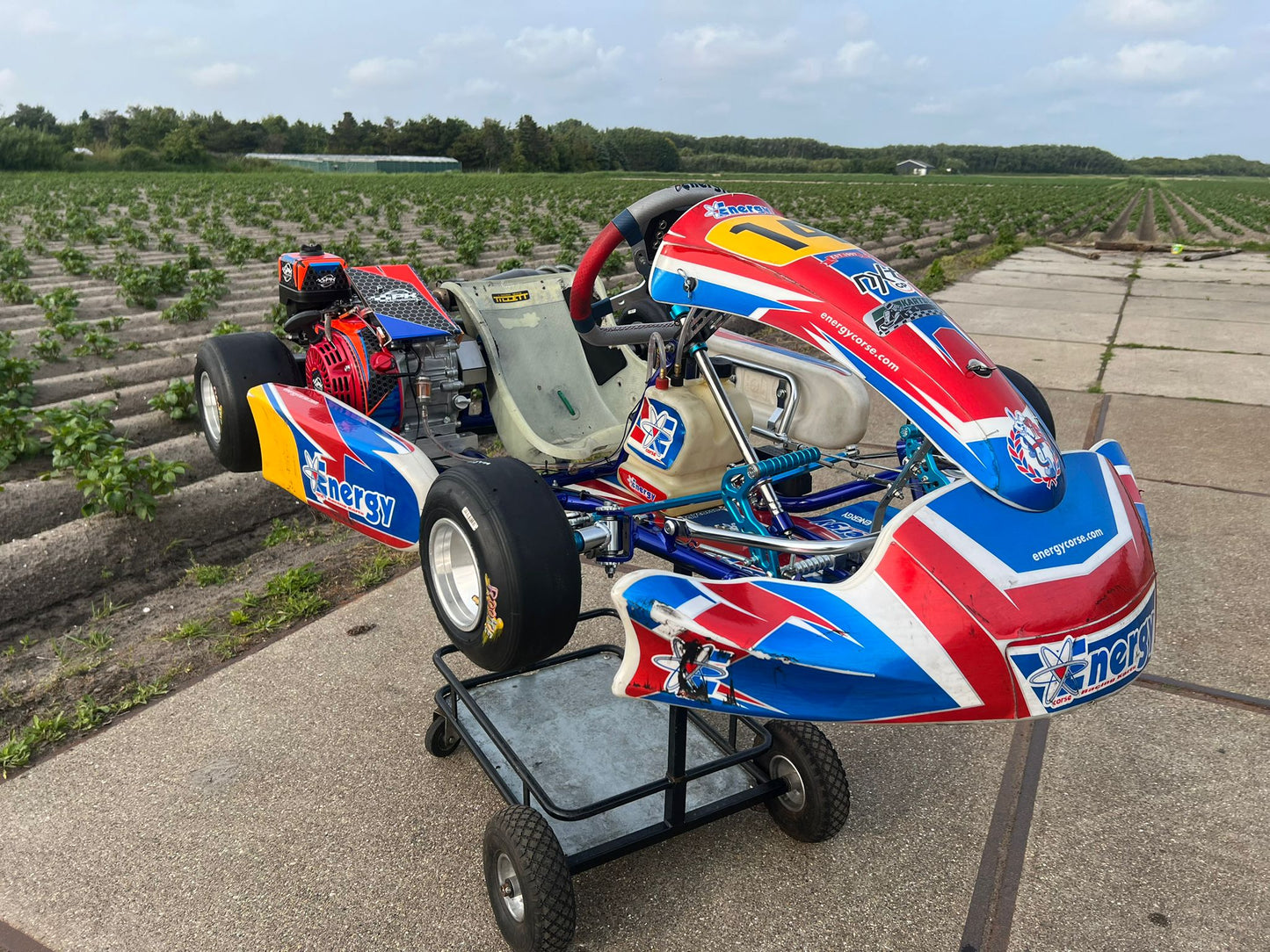 Gebrauchte Energy Corse Storm Mini Cadet GX160cc