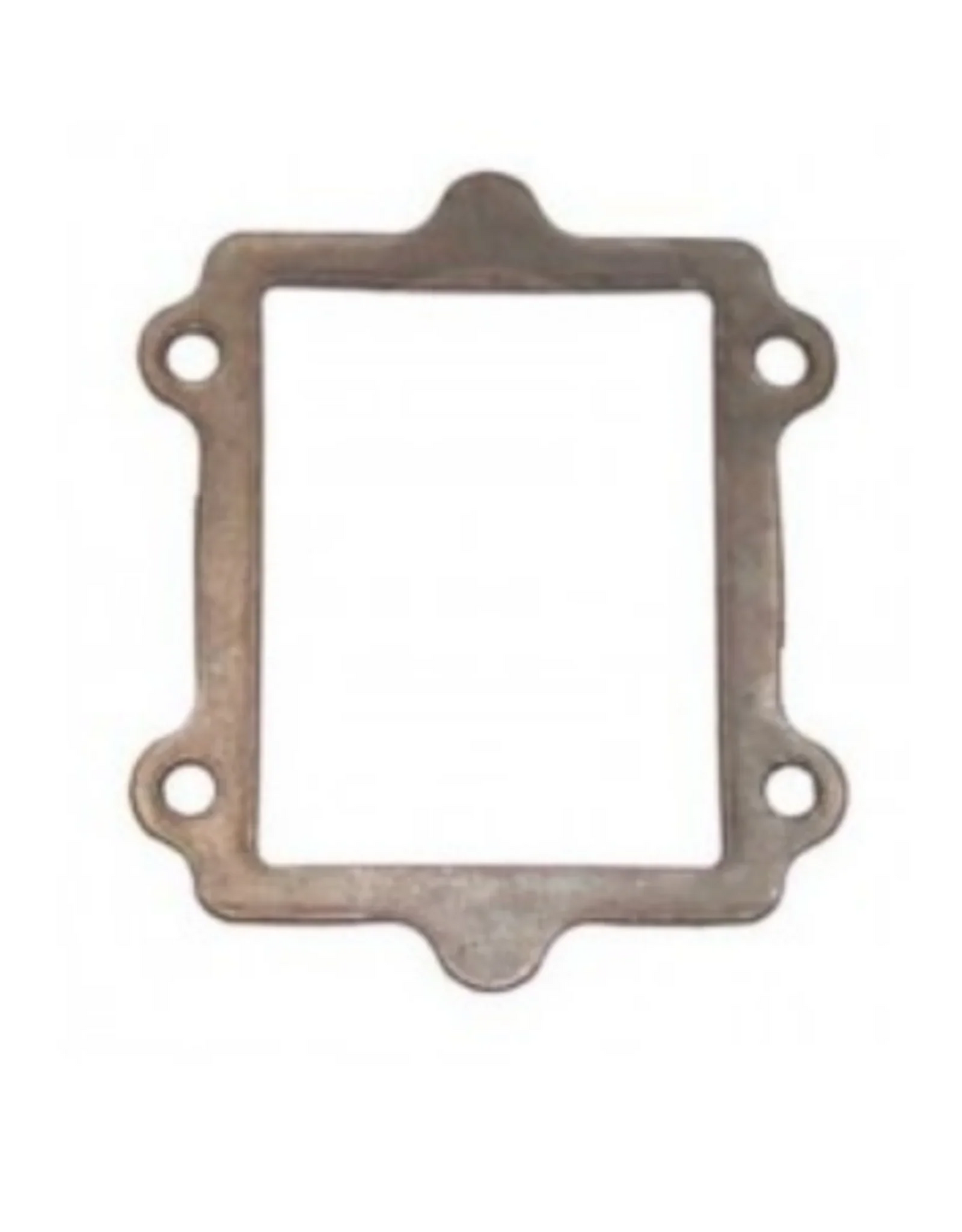 TM R1 / R2 membraan pakking 1 mm - KartKings