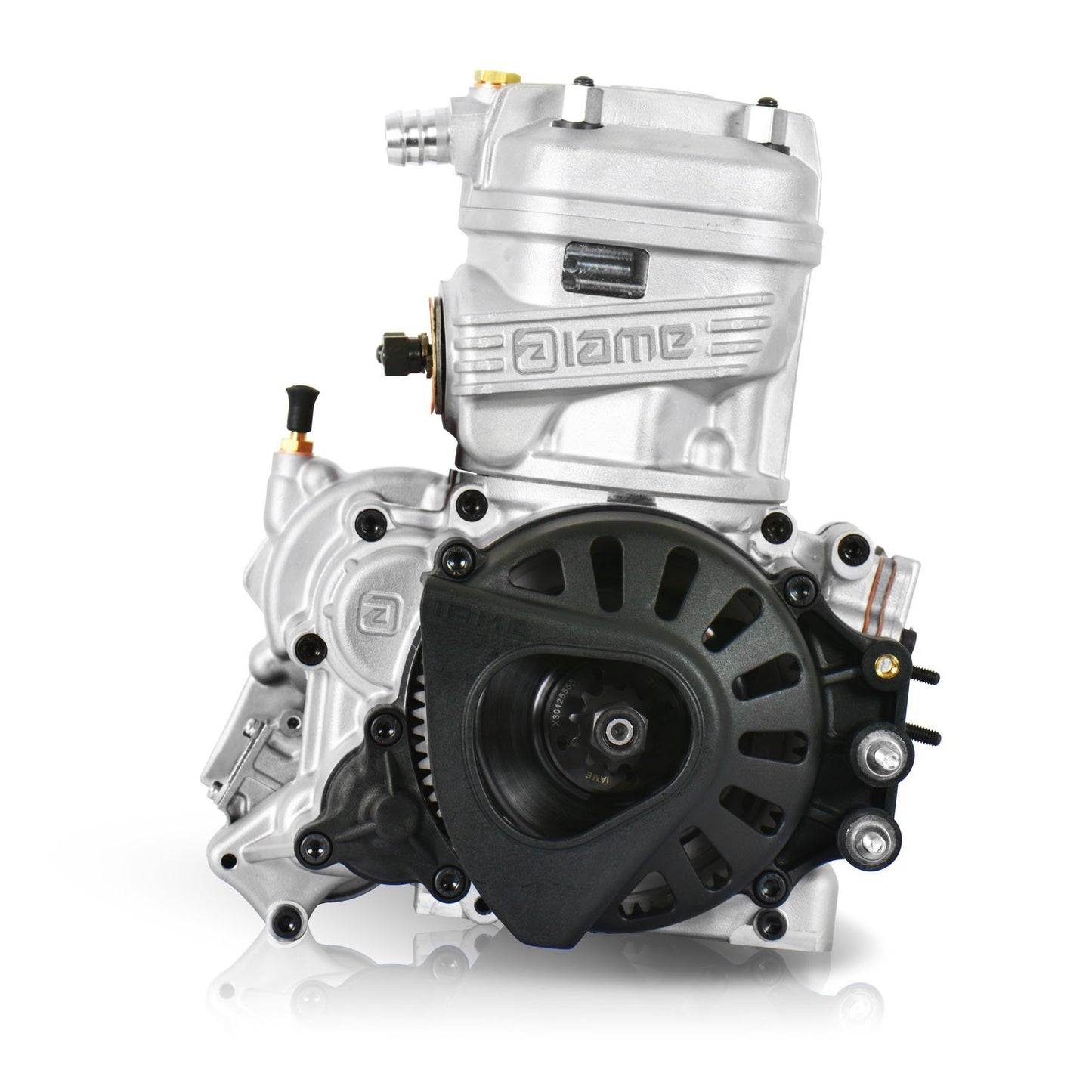 Iame X30 komplett 125CC JUNIOR Mit IAME-Dämpfer