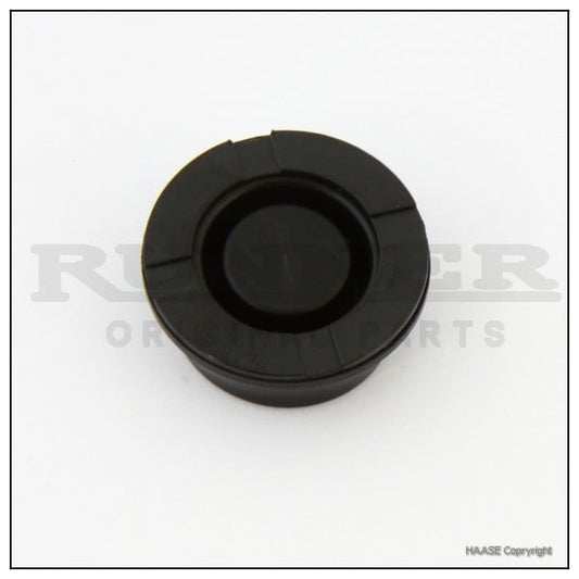 Haase Runner FR14 brake pump seal