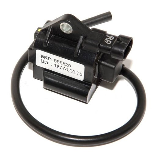 Rotax Max EVO-Spulen