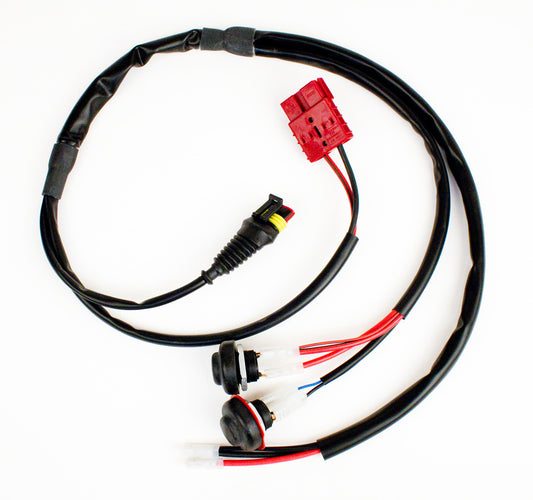 Iame X30 Kabelbaum