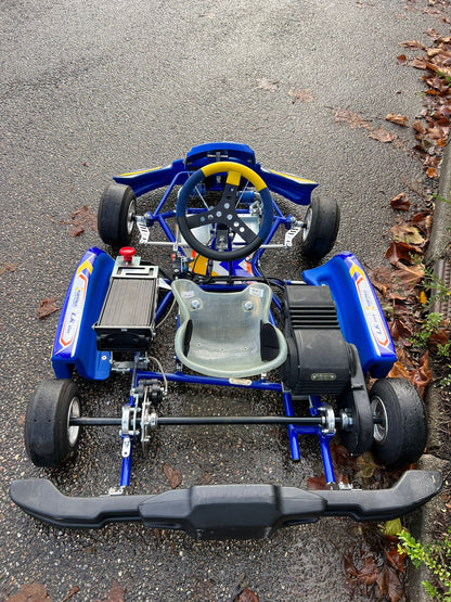 Gebrauchtes Lenzo Baby Kart mit LK Elektro 2021