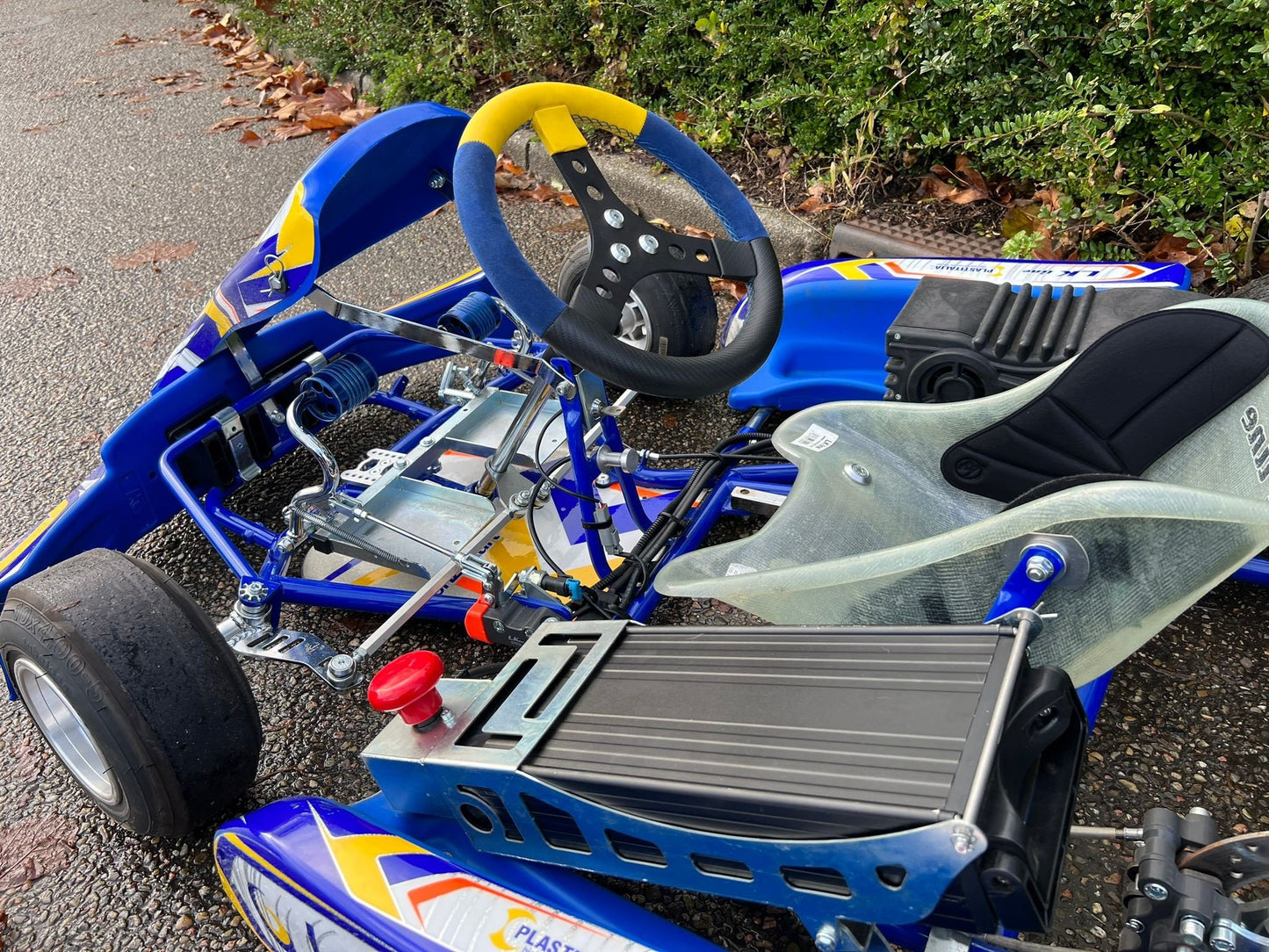 Gebrauchtes Lenzo Baby Kart mit LK Elektro 2021