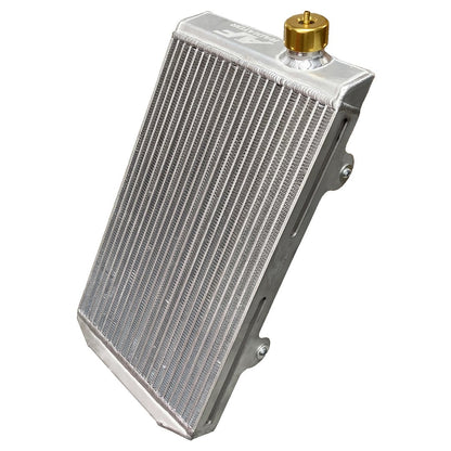 AF Radiator Typ 21 430x240x40 Gold inkl. Halterung
