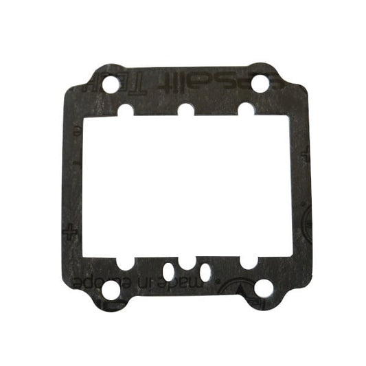 TM R2 Diaphragm gasket 1 MM